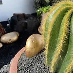 El Jable Apartmán Arrecife (Lanzarote)