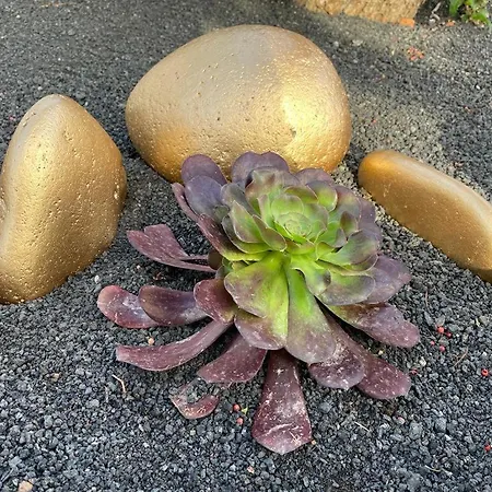 El Jable Apartment *