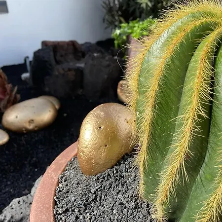 El Jable Lejlighed Arrecife (Lanzarote)